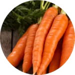 Beta Carotene, Huperzine A, and Bacopa