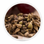 Grape-Seed-Extract 2