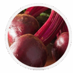 beet_Root-